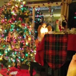 Meet your Posher, Joann